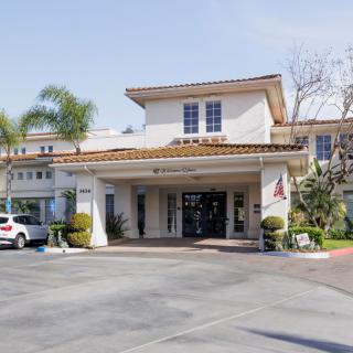 A sunny view of a building entrance with palm trees and parked cars.