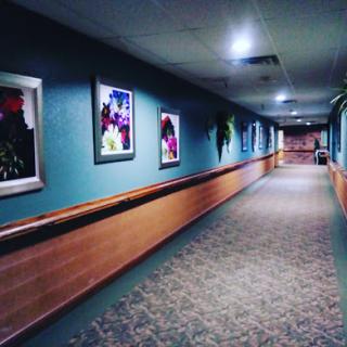 A well-lit hallway adorned with colorful artwork, featuring a carpeted floor and wooden paneling.