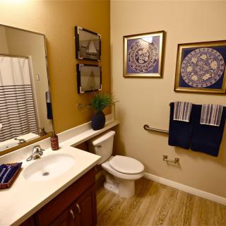 A well-decorated bathroom featuring a sink, toilet, and decorative art on the walls.