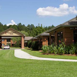 A view of a driveway leading to houses with a well-maintained lawn and landscaped surroundings.