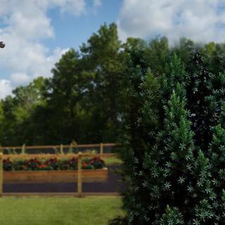 A serene garden landscape featuring a wooden fence and lush greenery.