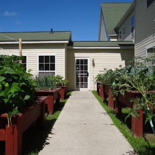 A well-maintained garden featuring raised vegetable beds alongside a paved pathway leading to a house, under a clear blue sky.