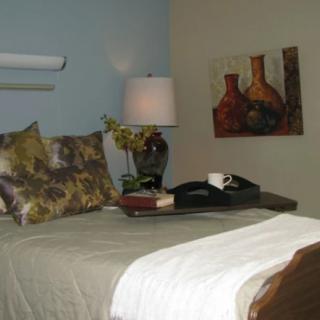 A cozy bedroom with decorative pillows, a bedside lamp, and artwork on the wall.