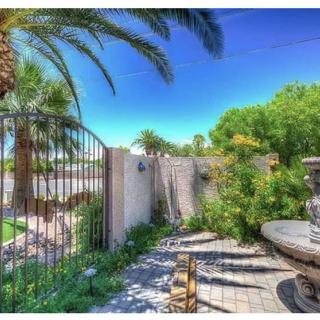 A sunny garden patio with palm trees and vibrant greenery.