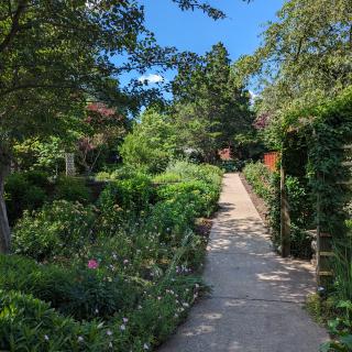 A serene garden pathway surrounded by lush greenery and trees under a clear blue sky.