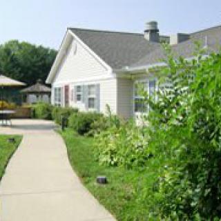 A serene pathway leading to a house surrounded by lush greenery.