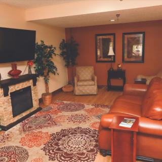Cozy living room with a leather sofa, fireplace, and decorative rug.