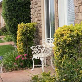 A serene garden patio with a decorative white chair surrounded by lush greenery and colorful flowers.