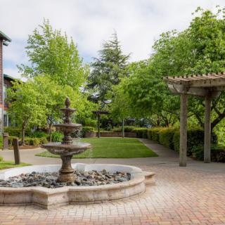 A garden scene featuring a stone fountain surrounded by lush greenery and a brick pathway.
