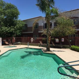 A tranquil residential swimming pool surrounded by palm trees, perfect for a sunny day.