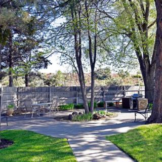A serene garden with a pathway and outdoor seating surrounded by lush trees.