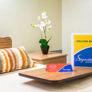 A cozy and welcoming room with vibrant decor and a touch of nature.