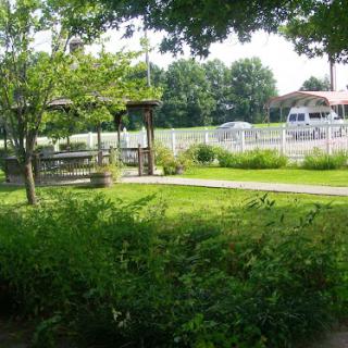 A serene park scene featuring lush greenery and a well-maintained pathway.