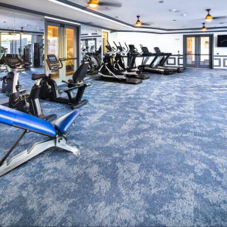 A modern gym with various exercise equipment including treadmills and stationary bikes.