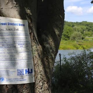 A sign affixed to a tree near a tranquil body of water, surrounded by lush greenery.