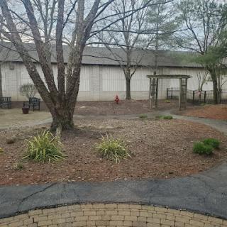 A tranquil outdoor space featuring a tree and a winding pathway.