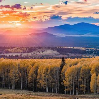 A breathtaking sunset over a forest of golden autumn trees with mountains in the background.