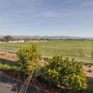A scenic view of fields with trees in the foreground and mountains in the distance under a clear blue sky.