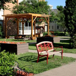 A peaceful outdoor space featuring a decorative bench, pergola, and lush greenery.