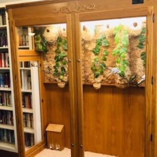 A hidden doorway in a bookshelf reveals a secret room with indoor plants and wooden paneling.