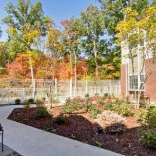 A serene residential garden showcasing vibrant autumn foliage and a well-maintained pathway.