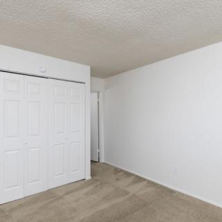 An empty room with white walls, a carpeted floor, and a closet.
