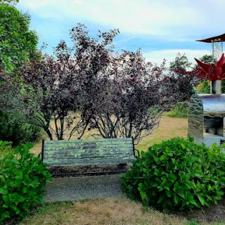 A serene garden scene featuring a bench surrounded by flowering trees and lush greenery.