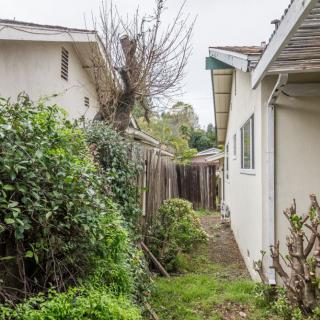 A narrow alley between two houses with bushes and a wooden fence.