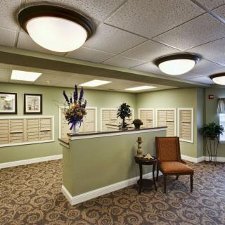 A well-lit office lobby featuring a reception desk, decorative plants, and comfortable seating.