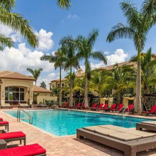 A luxurious outdoor swimming pool surrounded by palm trees and red lounge chairs, perfect for a vacation getaway.
