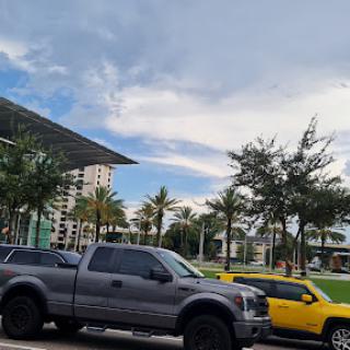 A view of parked vehicles with palm trees and a partly cloudy sky in the background.
