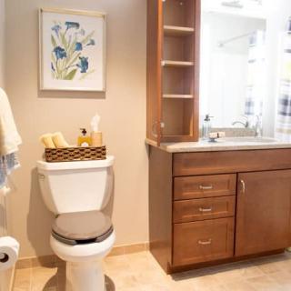 A well-organized bathroom with a toilet, wooden cabinet with sink, wall art, and neatly arranged toiletries.