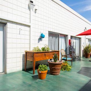 A sunny patio area featuring decorative plants and outdoor furniture.