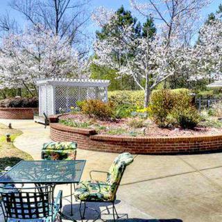 A beautiful garden with outdoor seating, blooming trees, and vibrant landscaping in spring.