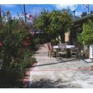 A sunny patio with a table and chairs surrounded by lush greenery and flowers.