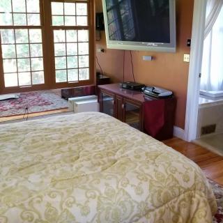 A cozy bedroom featuring a large bed, television, and ample natural light from multiple windows.