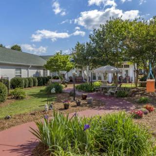 A beautifully landscaped garden with a pathway, surrounded by lush plants and trees on a sunny day.