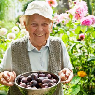 A smiling senior holding a bowl of freshly picked fruits in a garden.