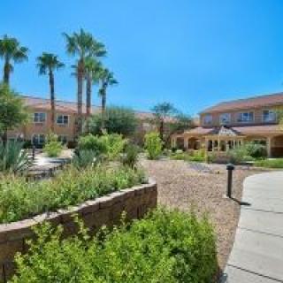 A sunny courtyard with palm trees and landscaped gardens in front of a large building.