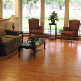 A cozy living room with wooden flooring, featuring a sofa, two chairs, a coffee table, and a potted plant by large windows.