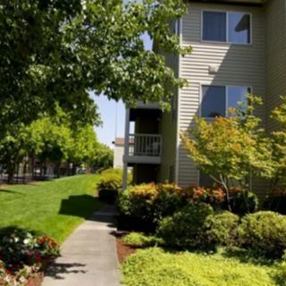 A well-maintained apartment building surrounded by lush landscaping and a sunny sidewalk.