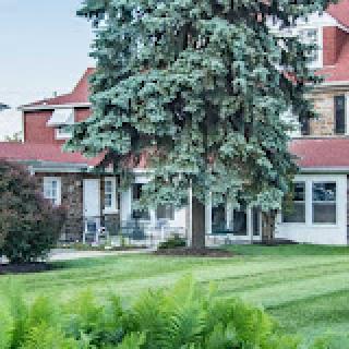 A charming house surrounded by a well-maintained garden and a tall tree.