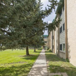 A sidewalk lined with trees adjacent to an apartment building.