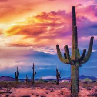 A vibrant sunset over a desert landscape featuring tall saguaro cacti.