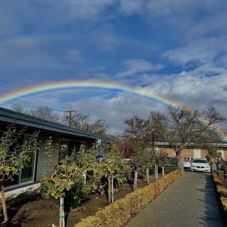 A vibrant rainbow arches over a tree-lined pathway on a partly cloudy day.
