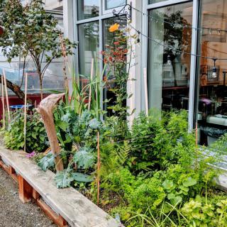 A vibrant urban garden with a variety of plants outside a modern building.