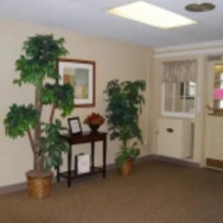 An office waiting area with potted plants and a small table displaying decorative items.