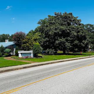 A sunny day view of a building next to a large tree along the roadside.