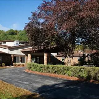 A suburban house with a driveway surrounded by trees and greenery.