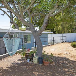 A peaceful backyard scene with a hammock hanging from a tree surrounded by potted plants.